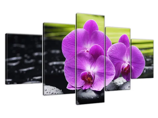 Obraz Orchidea a kamene