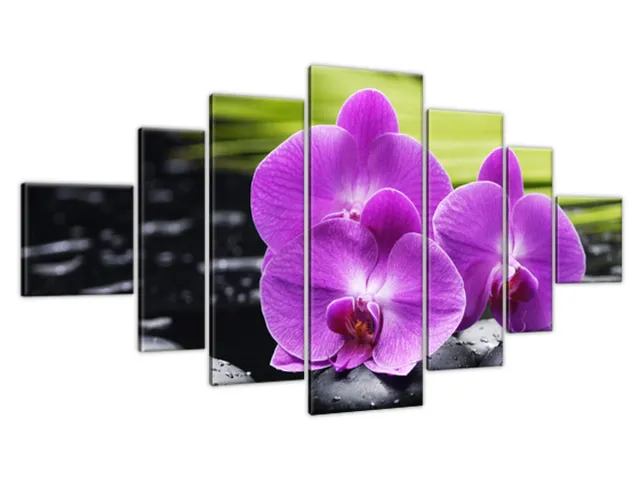 Obraz Orchidea a kamene