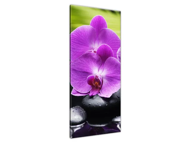 Obraz Orchidea a kamene