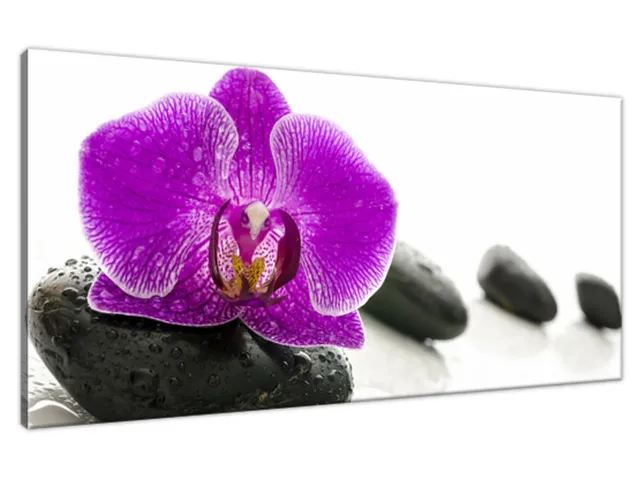 Obraz na plátne Orchidea na kameni