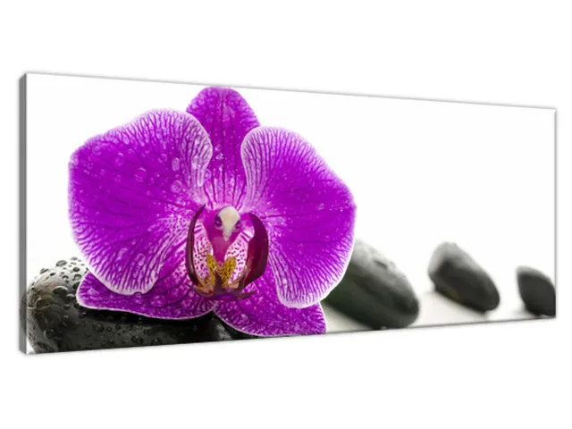 Obraz na plátne Orchidea na kameni