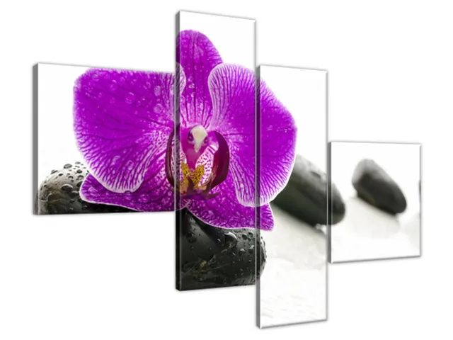 Obraz na plátne Orchidea na kameni