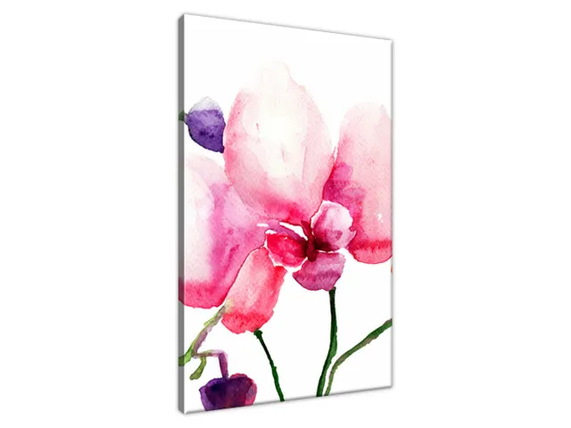 Obraz na stenu Orchidey