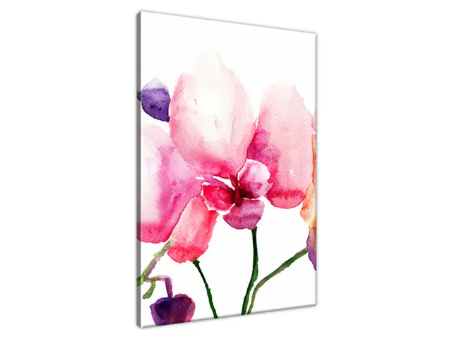 Obraz na stenu Orchidey