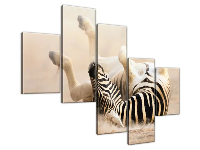 Obraz na plátne Pruhovaná zebra