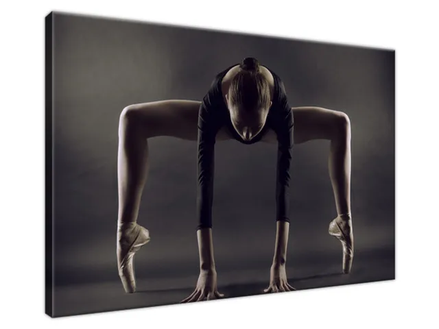 Moderný obraz na stenu Baletka