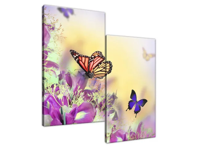 Obraz Full color butterfly