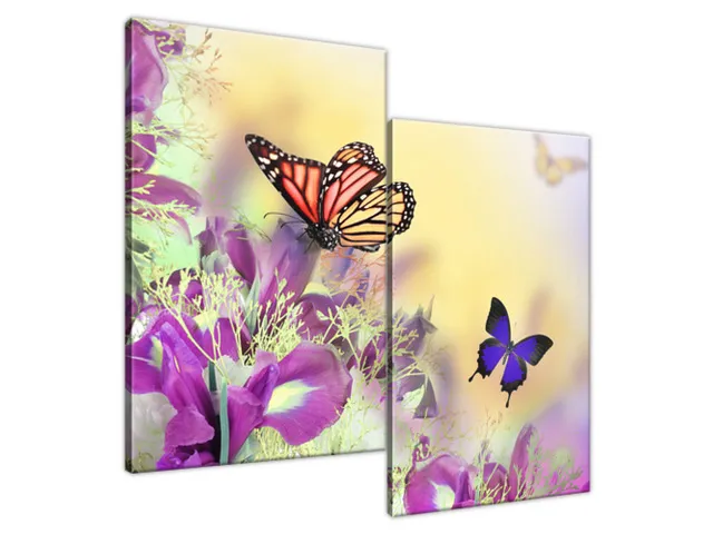 Obraz Full color butterfly