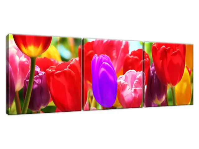 Obraz na plátne Slnečné tulipány