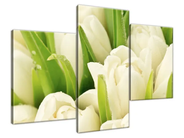 Obraz Tulipány pokryté rosou