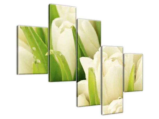 Obraz Tulipány pokryté rosou
