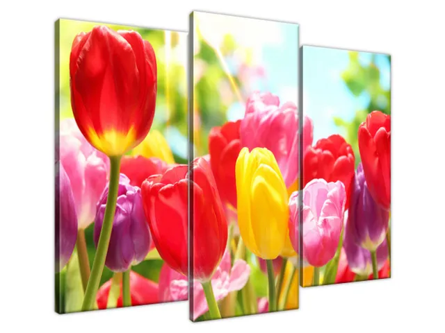 Obraz Tulipány v červenej a žltej farbe