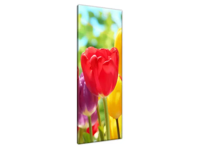 Obraz Tulipány v červenej a žltej farbe