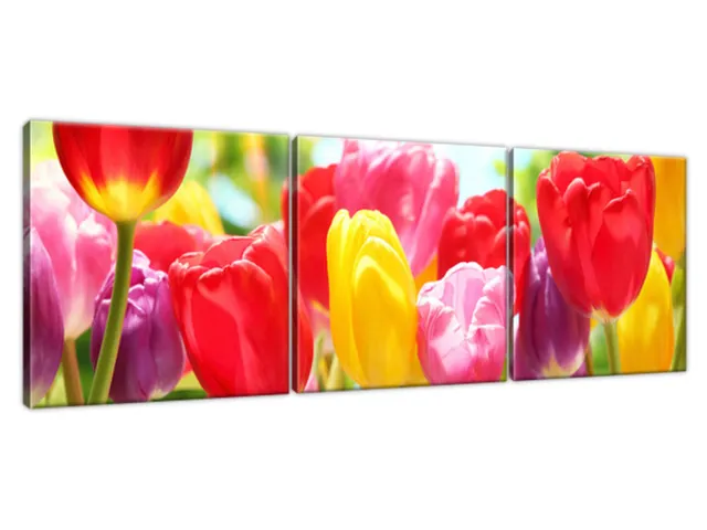 Obraz Tulipány v červenej a žltej farbe