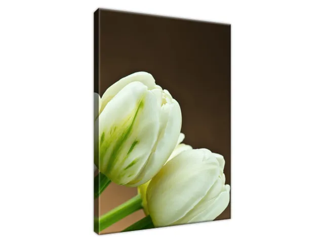 Obraz tulipány bielej farby