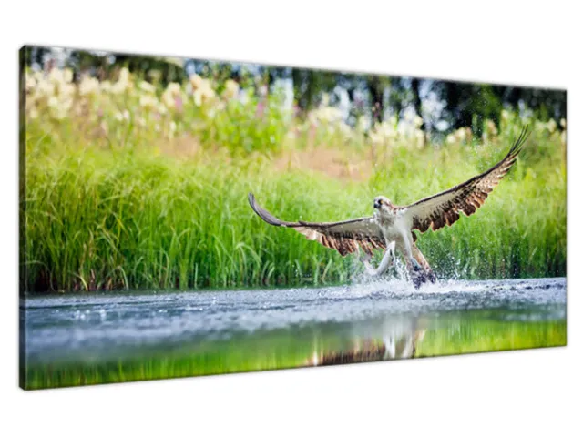 Obraz na stenu Lov rýb