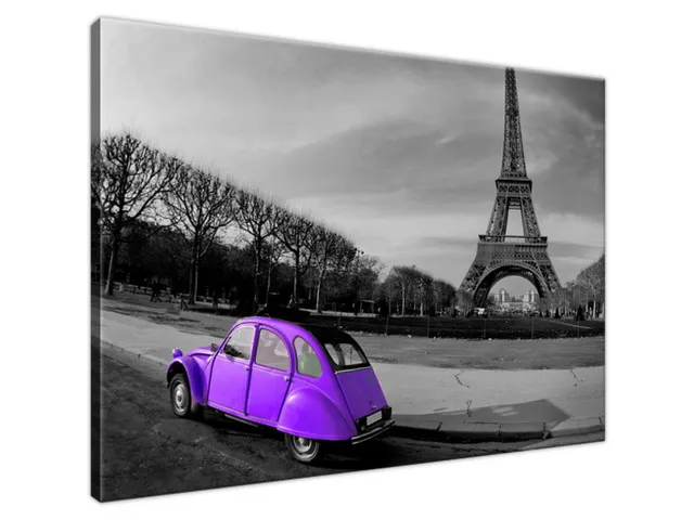 Obraz na stenu Violet old style