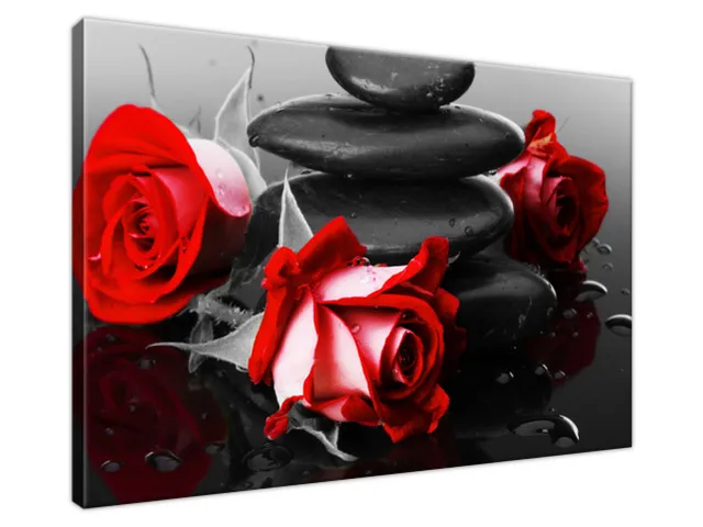 Obraz na stenu Roses and spa