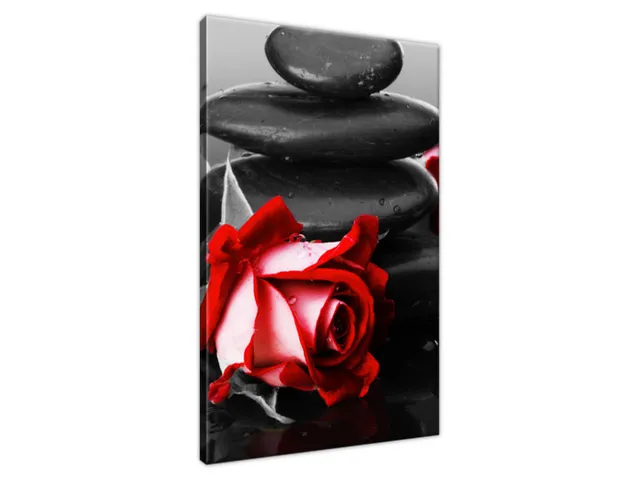 Obraz na stenu Roses and spa