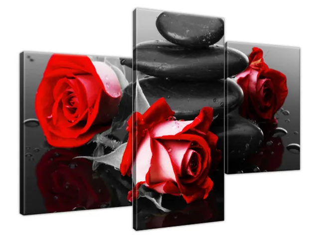 Obraz na stenu Roses and spa