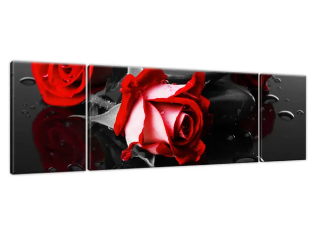 Obraz na stenu Roses and spa