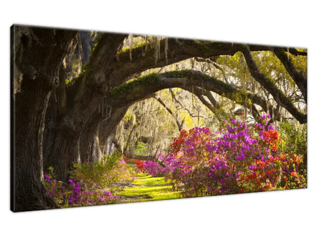 Luxusný obraz Mohutné duby