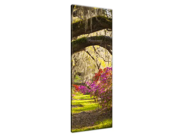 Luxusný obraz Mohutné duby