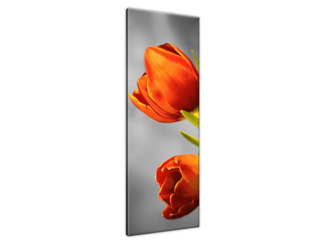 Obraz do obývačky Červené tulipány