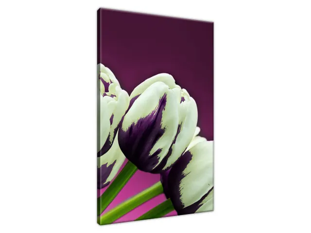 Obraz na plátne Fialové tulipány