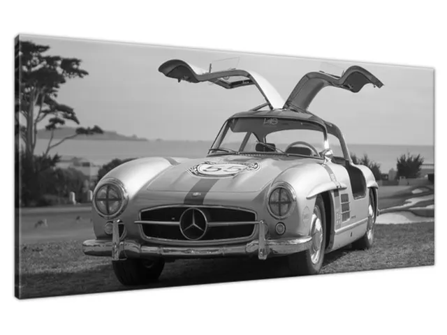 Obraz na stenu Mercedes Benz 300SL - Axion23