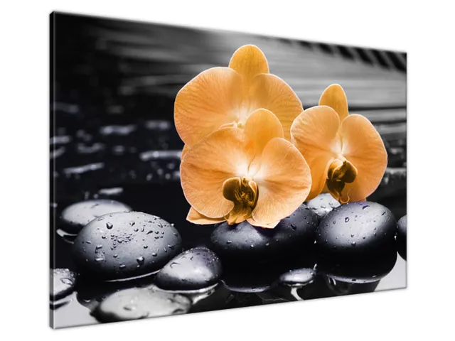 Moderný obraz Oranžové orchidey