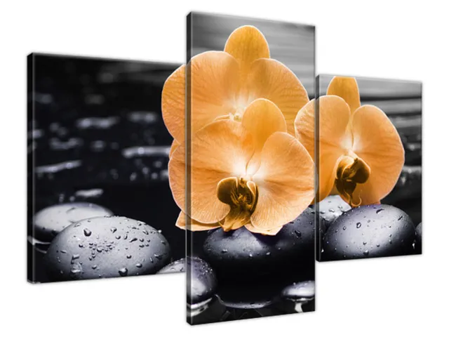 Moderný obraz Oranžové orchidey