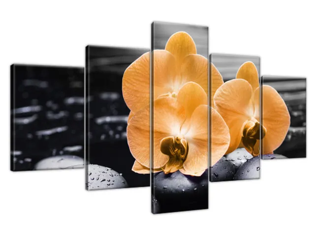 Moderný obraz Oranžové orchidey