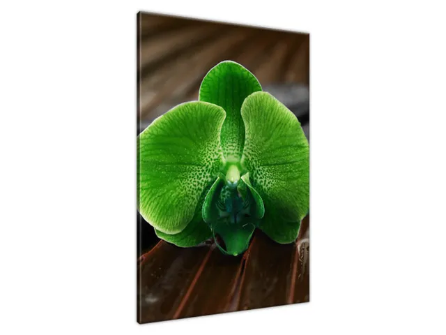 Krásny obraz na plátne Limetková orchidea