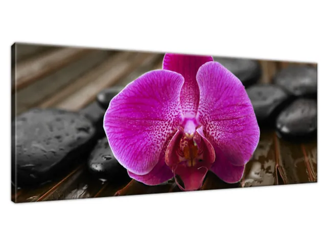 Pekný Obraz Orchidea  Anety