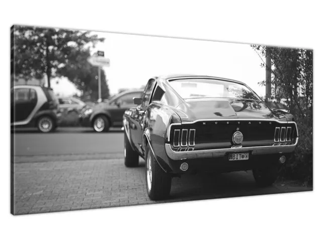 Obraz na plátne CLASSIC Mustang - 55laney69