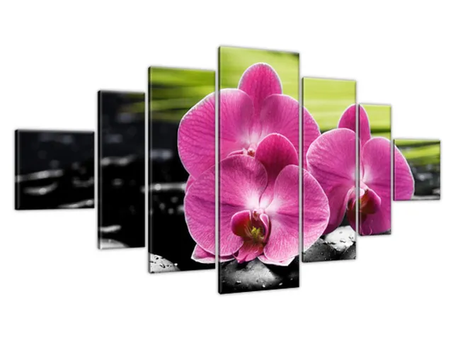 Moderný obraz Orchidey na kameňoch