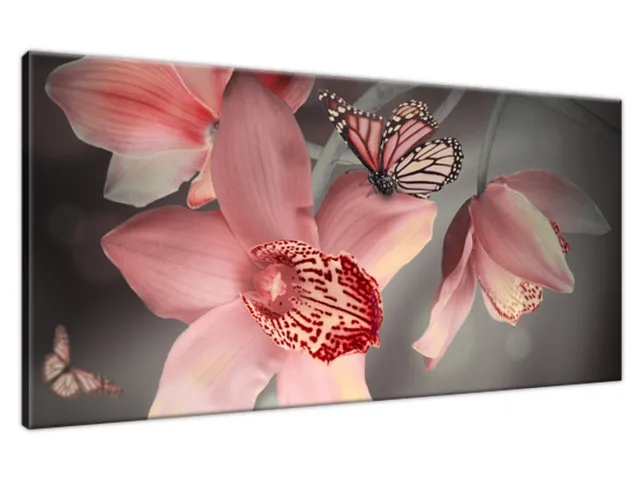 Moderný obraz Motýľ na orchidey