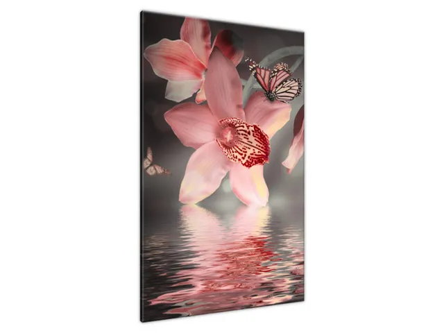 Moderný obraz Motýľ na orchidey