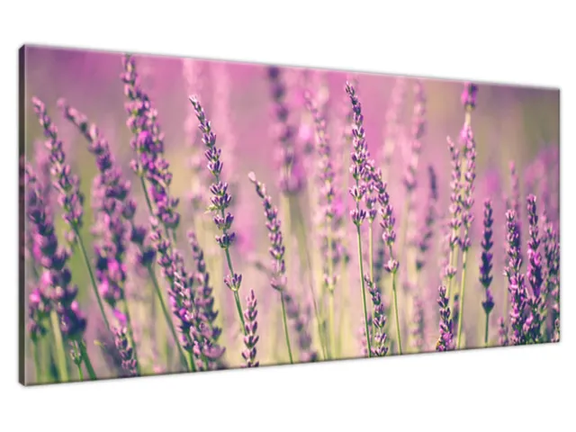 Obraz tlačený na plátne Levanduľa