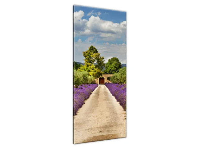 Luxusný obraz Cesta v Provensálsku