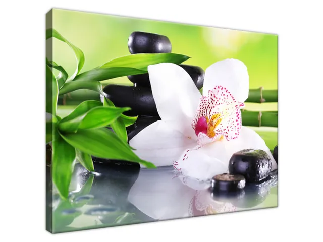 Obraz SPA kamene a orchidea