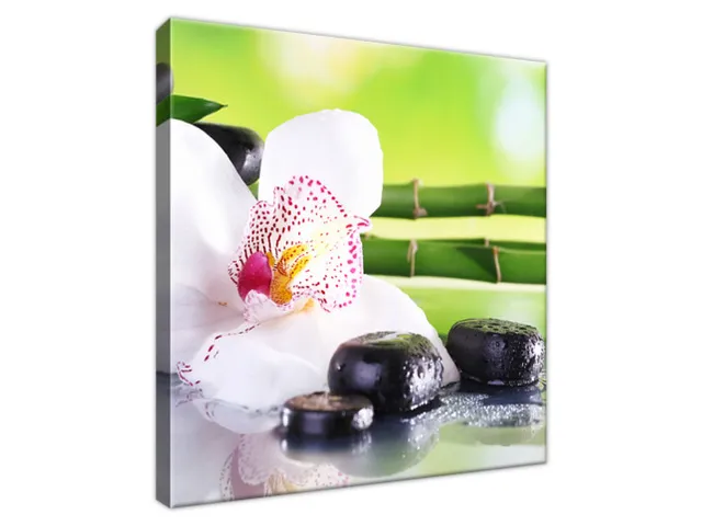 Obraz SPA kamene a orchidea