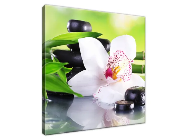 Obraz SPA kamene a orchidea