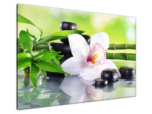 Obraz SPA kamene a orchidea