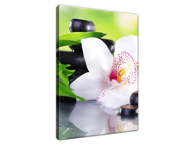 Obraz SPA kamene a orchidea