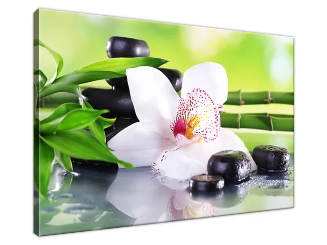 Obraz SPA kamene a orchidea
