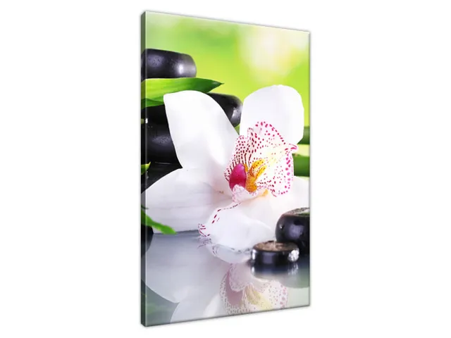 Obraz SPA kamene a orchidea