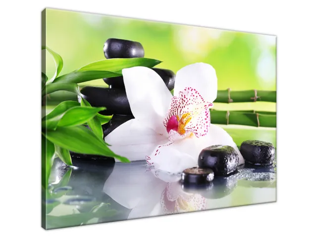 Obraz SPA kamene a orchidea