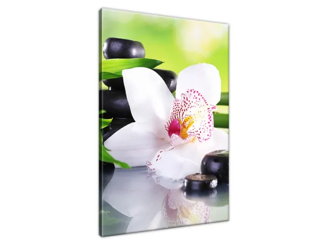 Obraz SPA kamene a orchidea